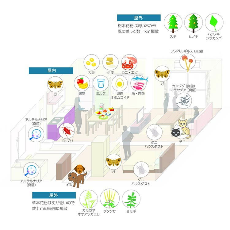 身の回りにあるアレルゲン例